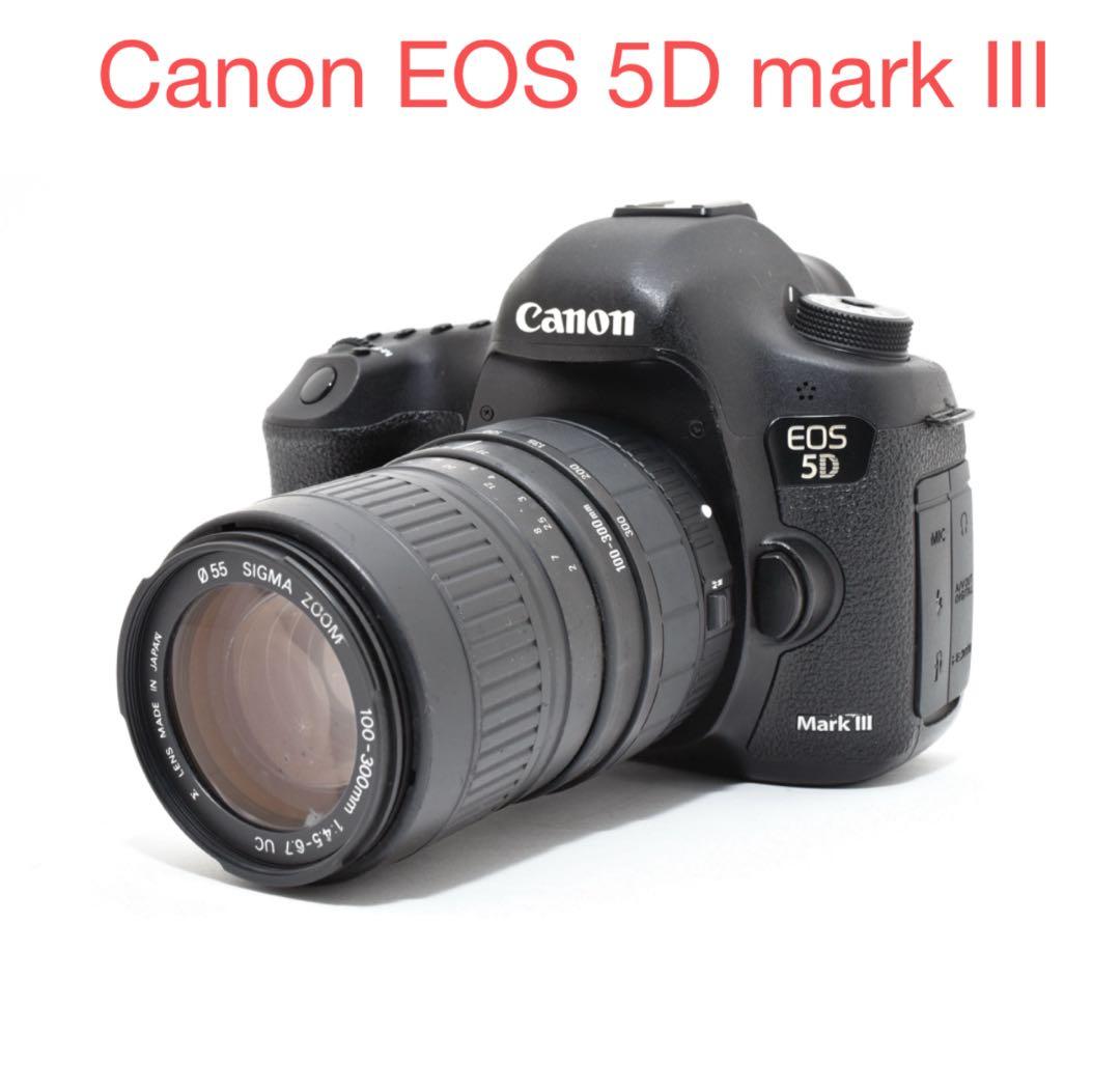 デジタル一眼レフカメラCanon EOS 5D mark III望遠レンズセット