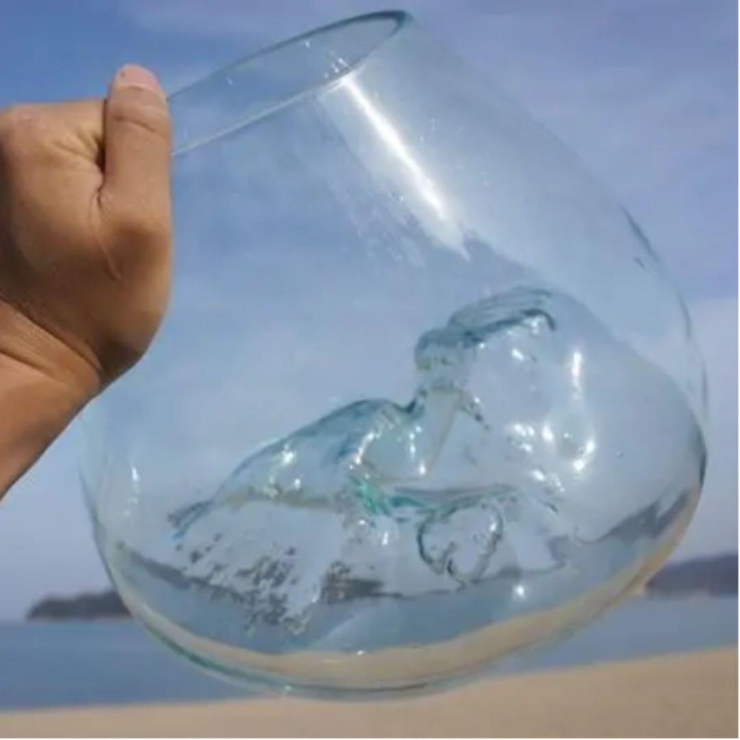 流木ガラス オブジェ超特大LH 花瓶 金魚鉢 ガーデニング テラリウム アート