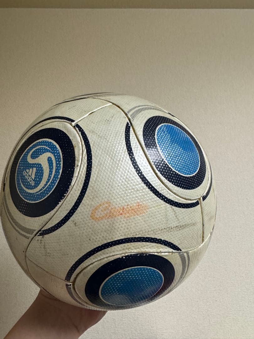 サッカーボール 5号球 テラパス