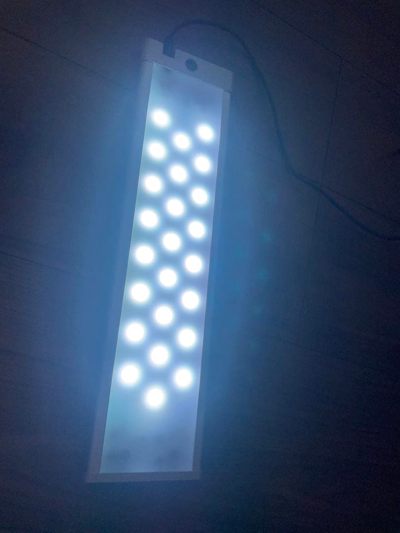 dooa ソルスタンドRGB