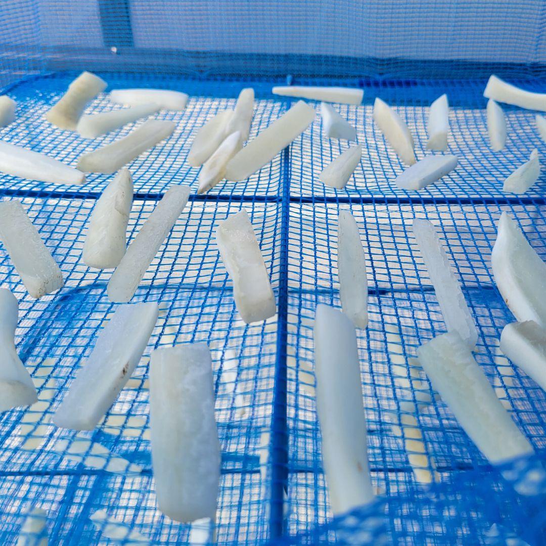 モッタンです♪【同梱お値引き済み】