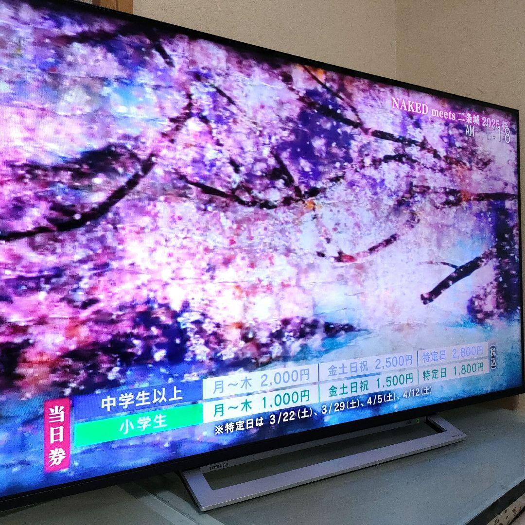 TOSHIBA[2021年製品]55M540X