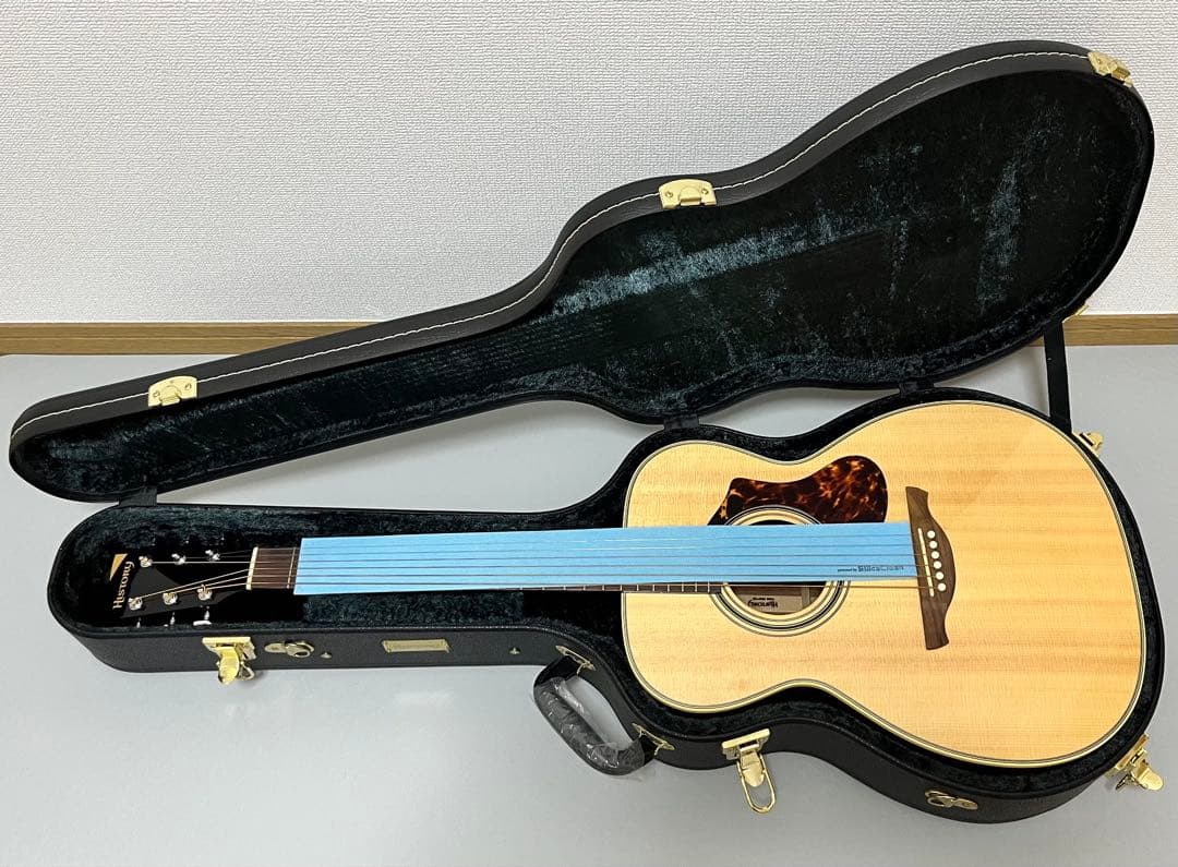 HISTORY NT-S4 アコースティックギター
