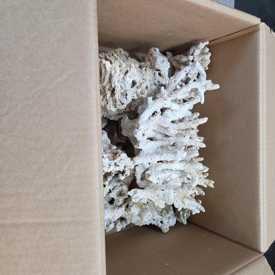 人工サンゴ コーラル型 水槽用石