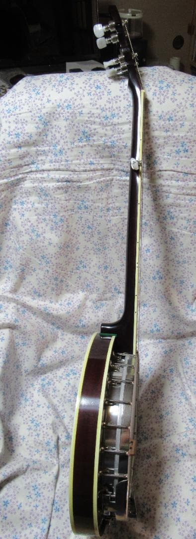 ★☆【大幅値下げしました！！】5弦バンジョー（ケース付き）