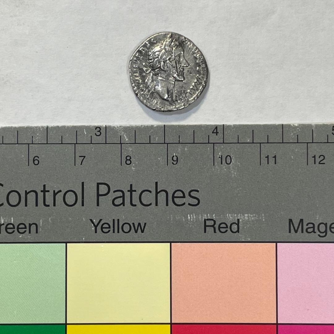 【古代ローマ 銀貨】155-156年 アントニヌス・ピウス 女神 サルス 座像