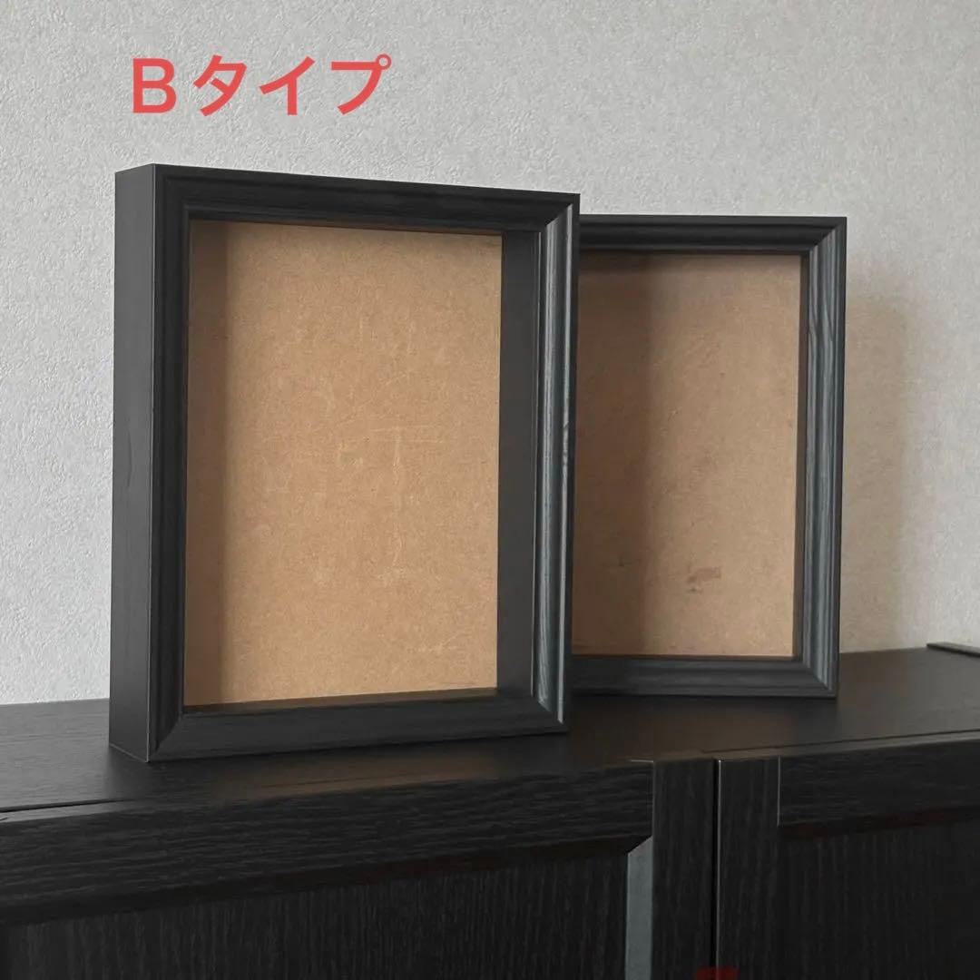 標本　フレーム　昆虫　植物　標本箱　シーラー