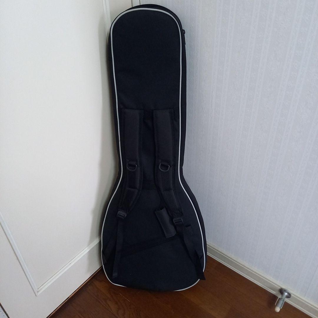 Epiphone by Gibson　SG G-310　エピフォン