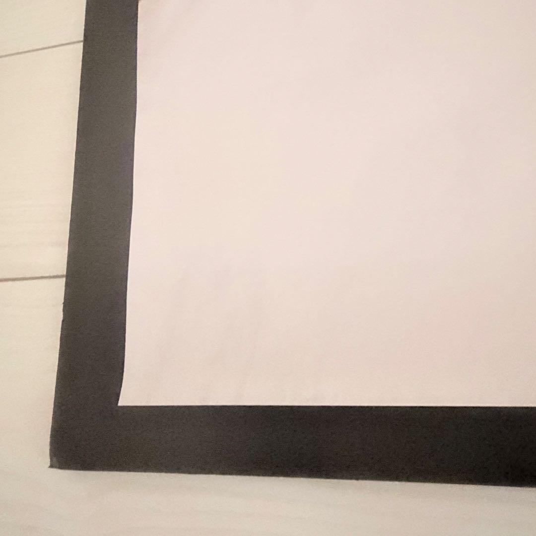 ⭐️正規品AW07 Supreme × Mike Tyson ポスター中古 美品♪