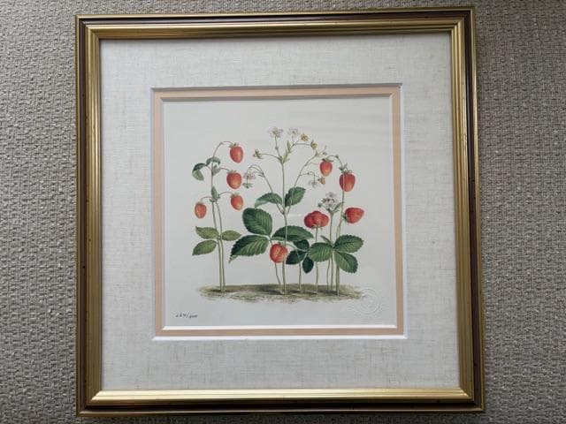 限定2000円OFF ロンドンV&A　フラワーアート　2点　額装＆マット付き