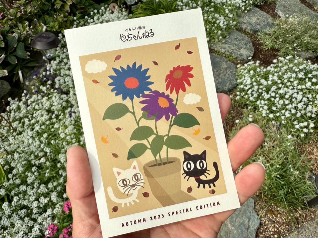 ◆『はちみつパンさん専用』　ゆるふわ園芸やっちゃんねる