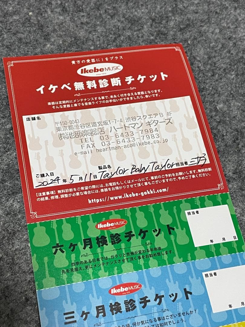 ほぼ新品 Taylor Baby Taylor BT1