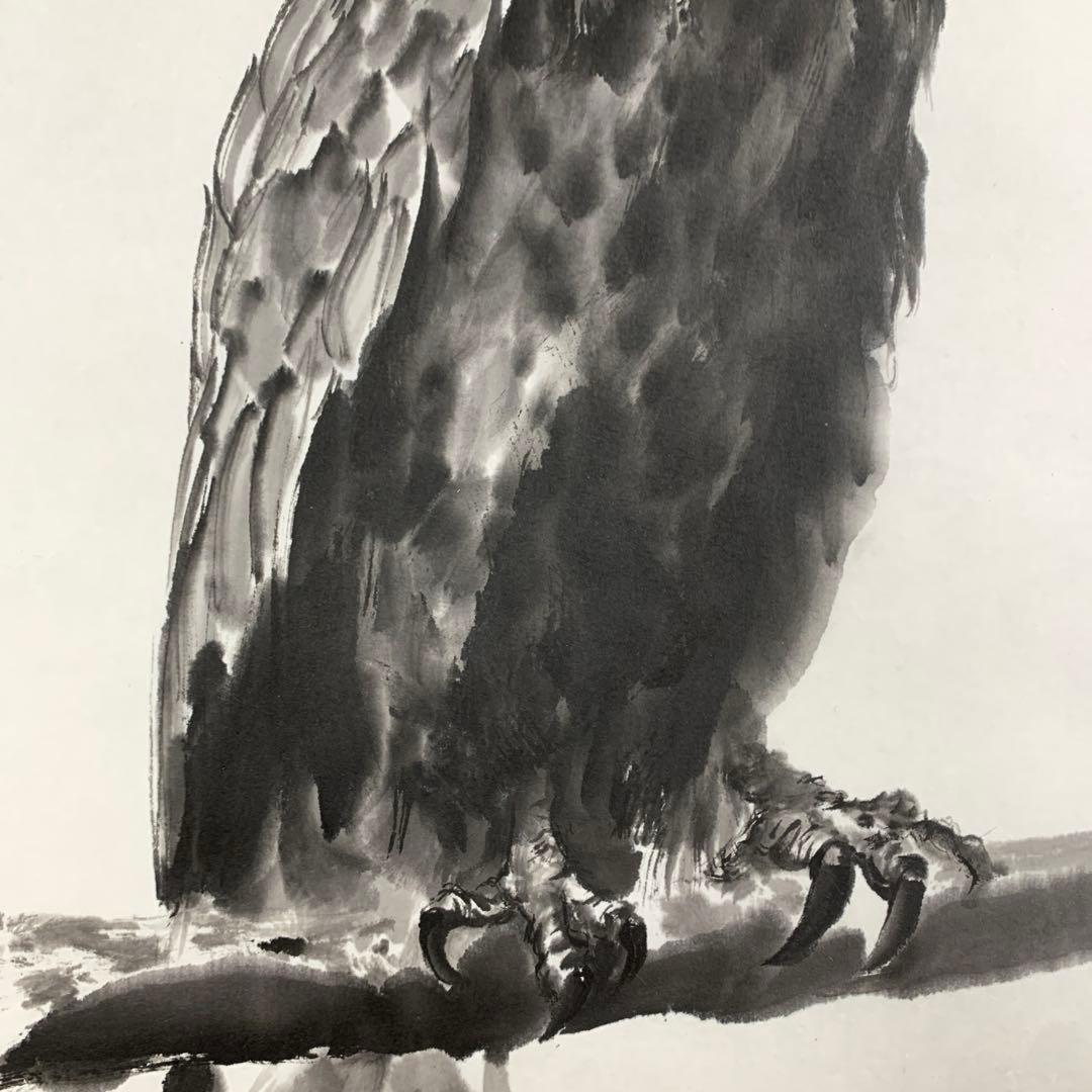 美品 掛け軸 現代水墨画家 絵師白道作「白頭鷲」共箱 墨絵 水墨画