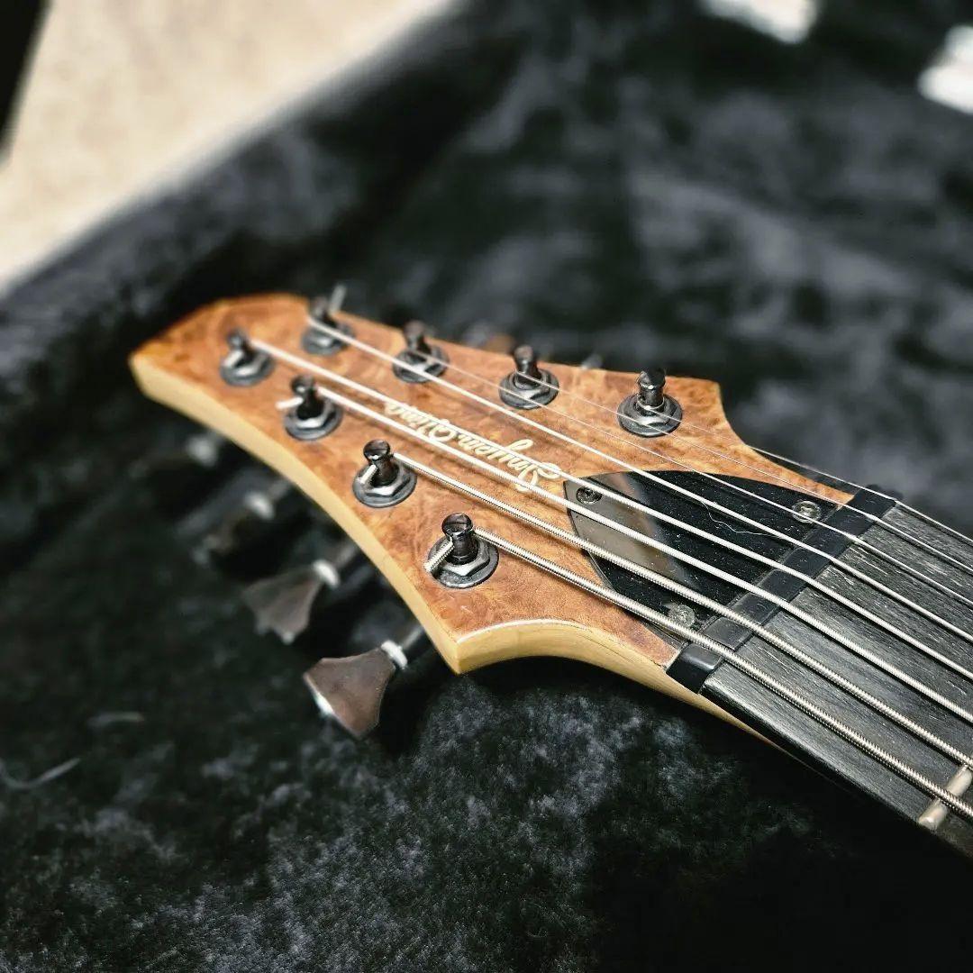 最終値下げ Inyen Vina Guitars 8弦ギター