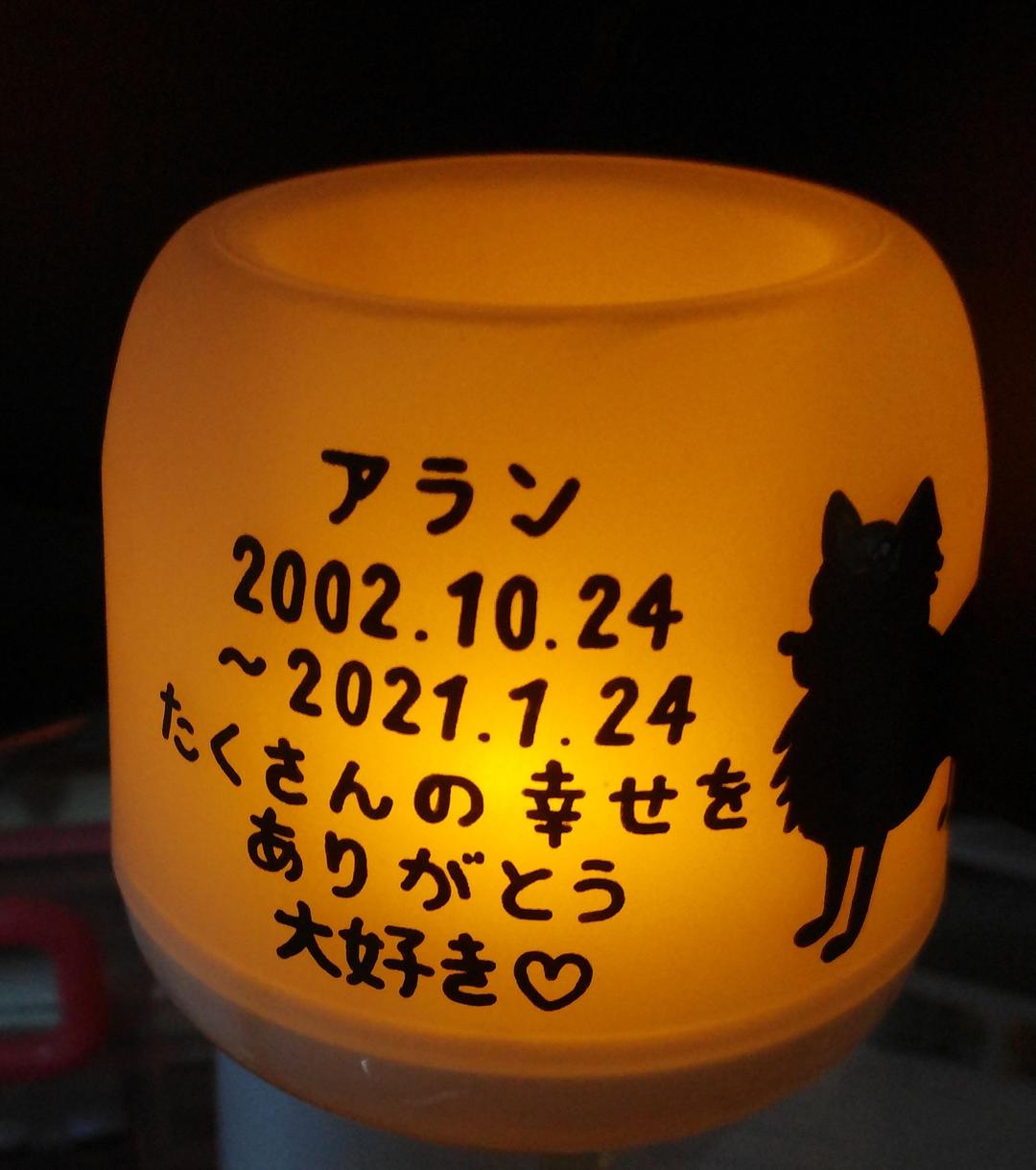 確認用♥タレテルゥ様♥