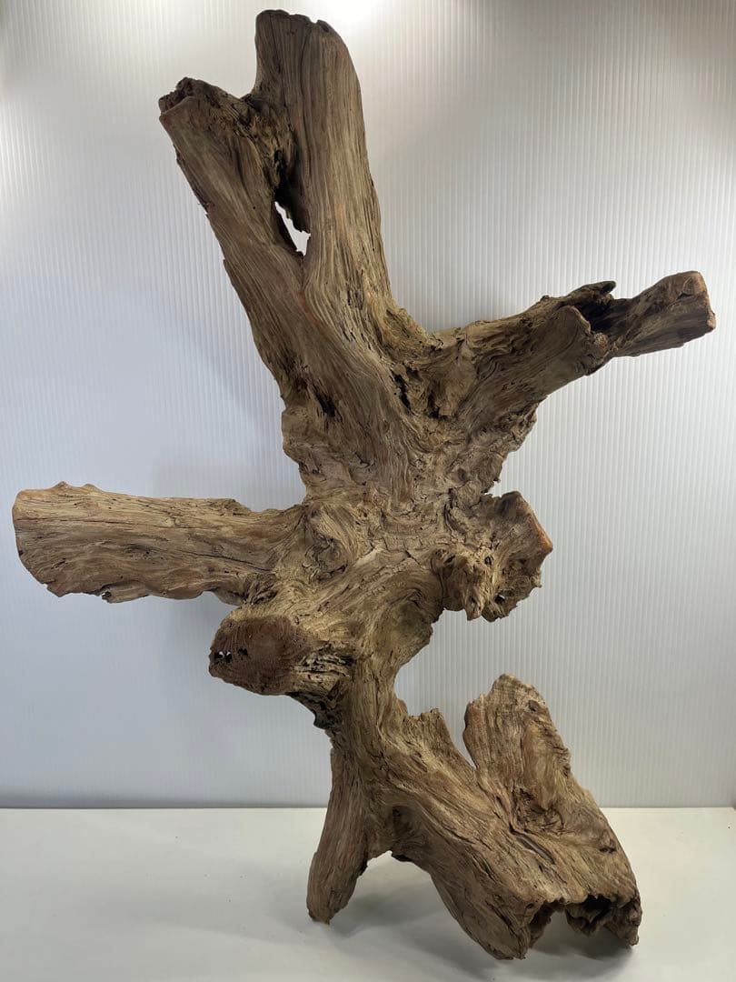 m77大型流木 アク抜き済み 爬虫類シェルター レイアウト用 インテリア 登り木