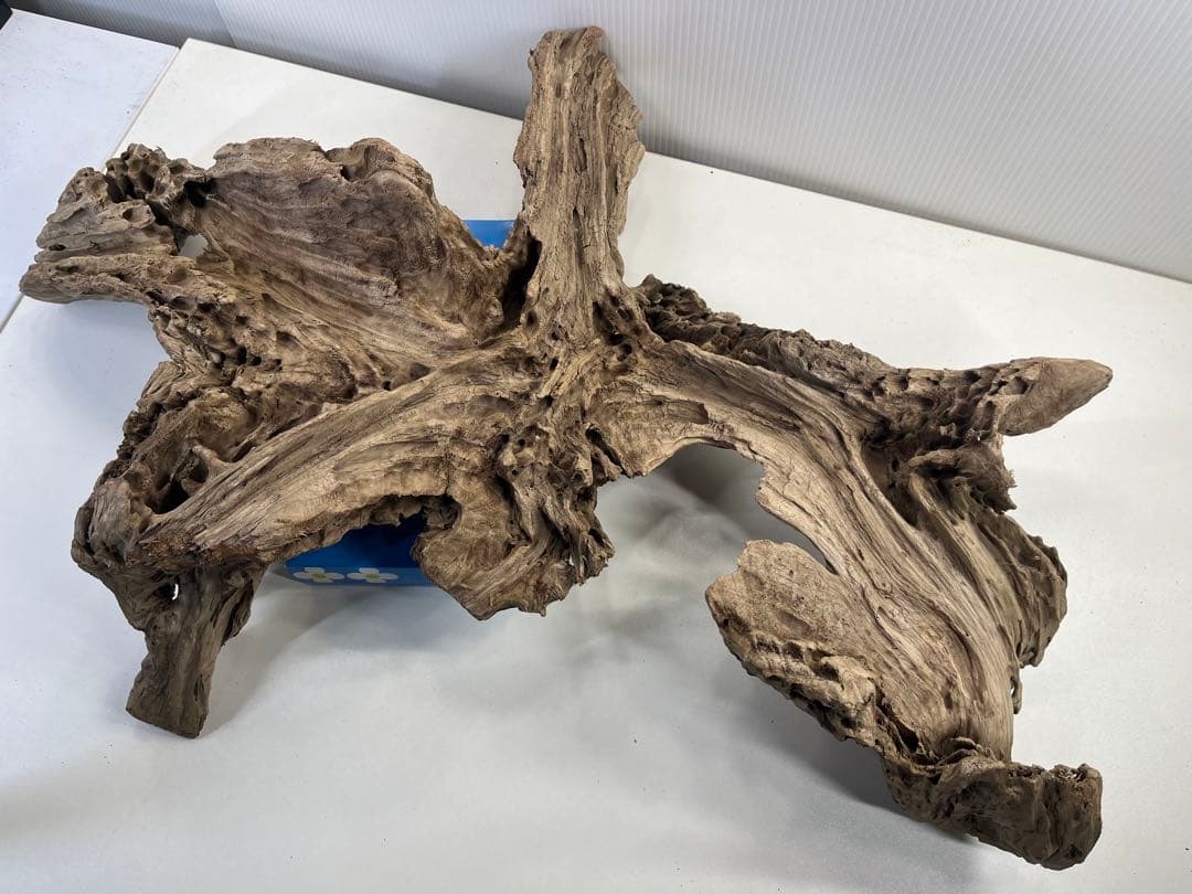 m77大型流木 アク抜き済み 爬虫類シェルター レイアウト用 インテリア 登り木