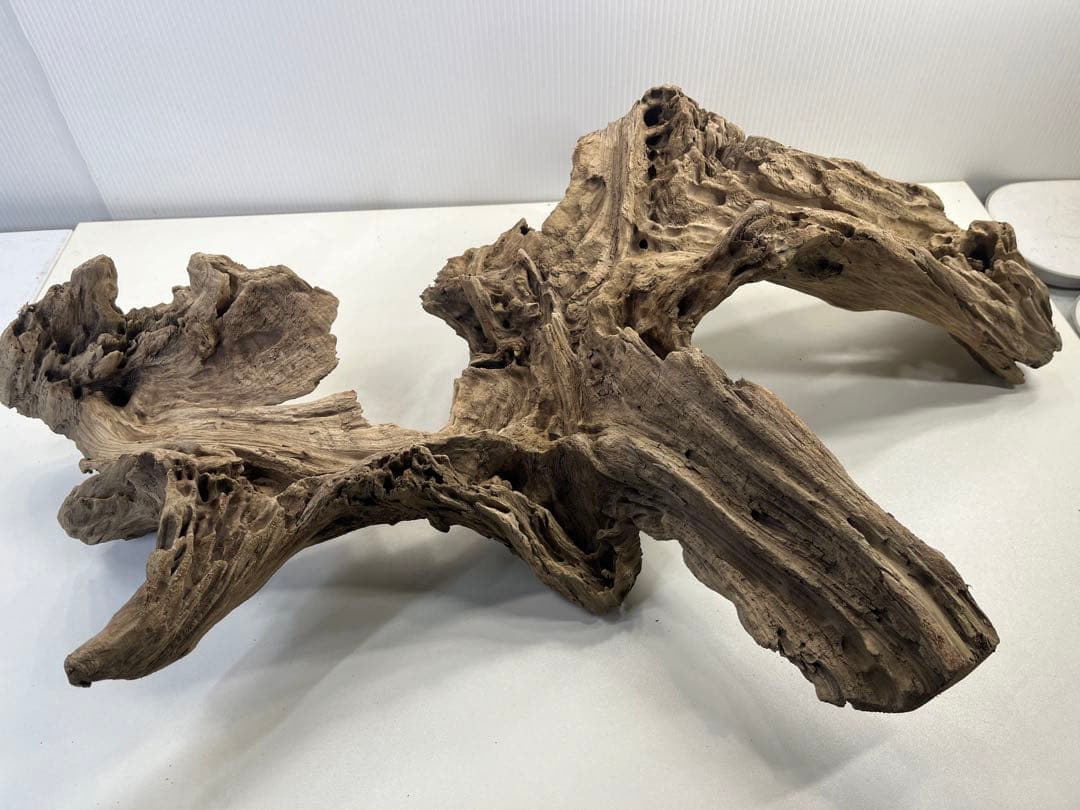 m77大型流木 アク抜き済み 爬虫類シェルター レイアウト用 インテリア 登り木