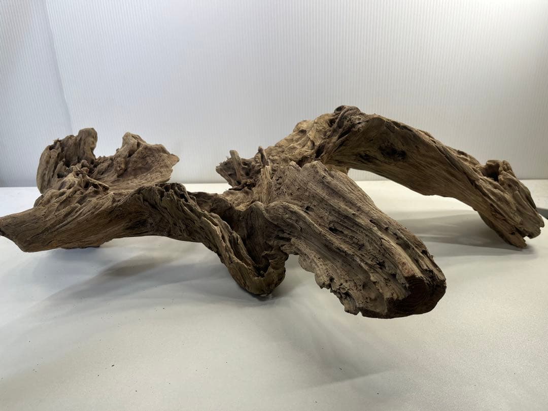 m77大型流木 アク抜き済み 爬虫類シェルター レイアウト用 インテリア 登り木