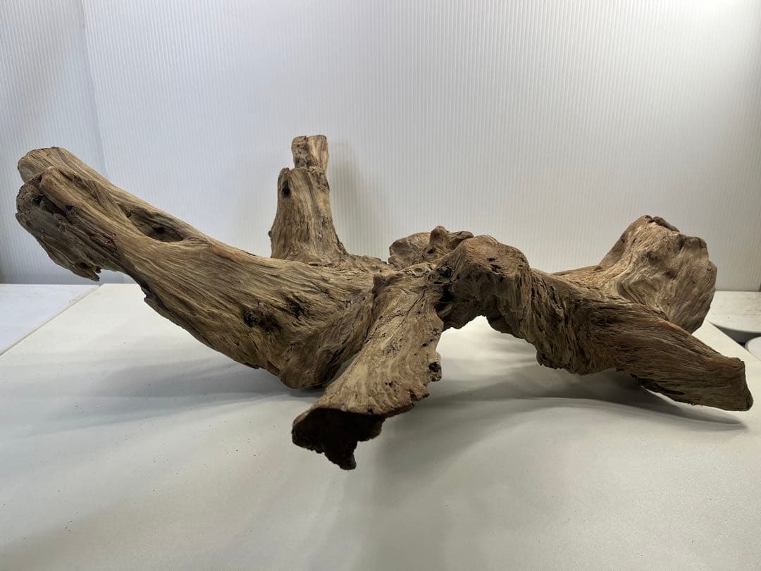 m77大型流木 アク抜き済み 爬虫類シェルター レイアウト用 インテリア 登り木