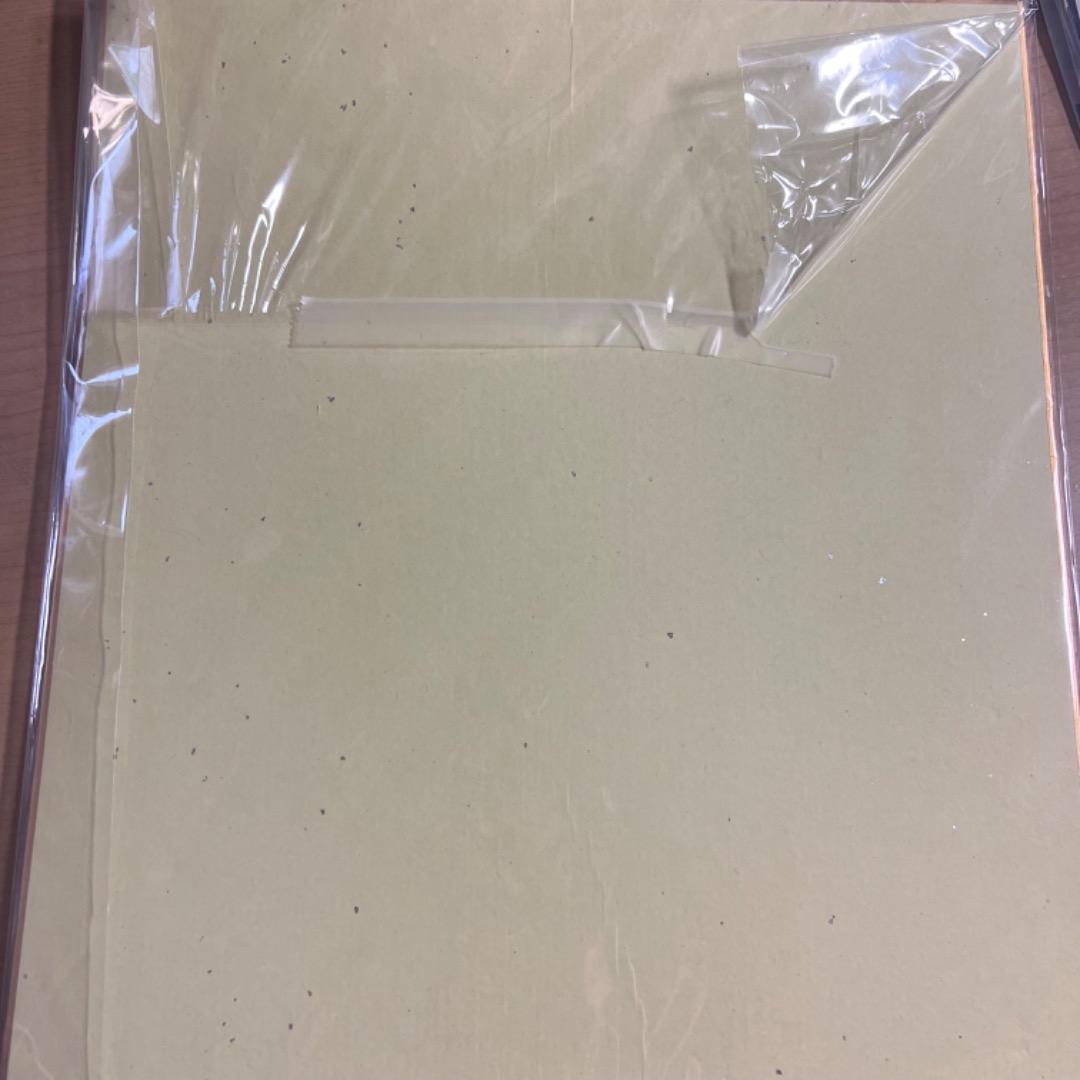 日向坂46 加藤史帆 齊藤京子 小坂菜緒 直筆サイン入り色紙