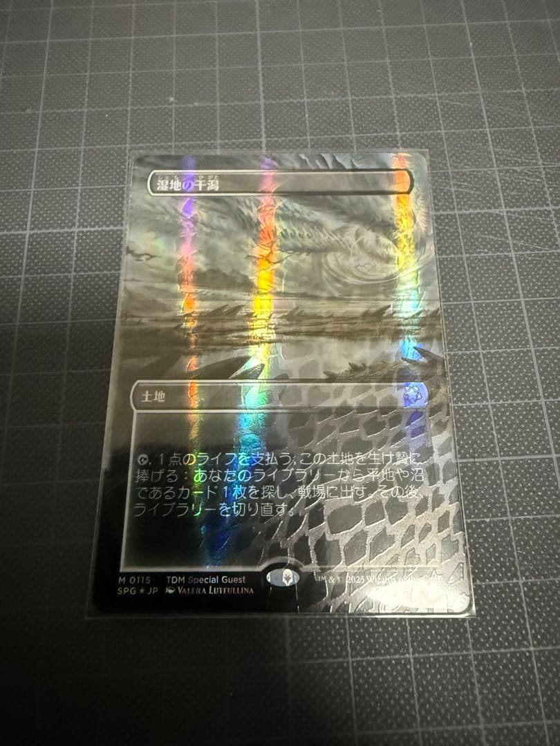 湿地の干潟　ドラゴンスケイルFOIL　日本語　MTG