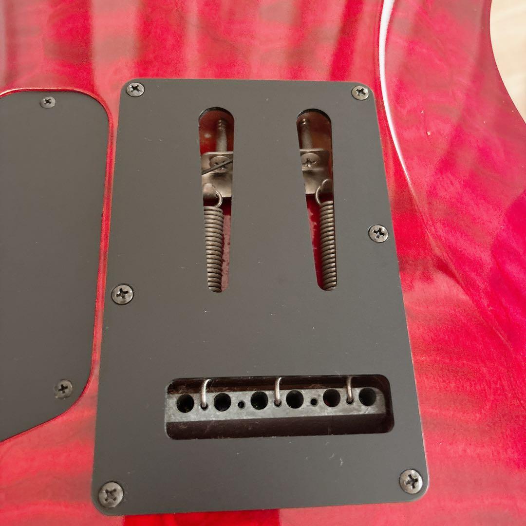 FERNANDES FA-10 エレキギター アーム付 説明書・ストラップ付