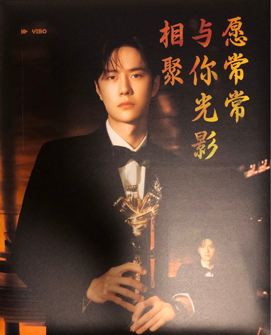 王一博 カードバインダー＋A4・Pカード他 用リフィル50枚付 アルバム z