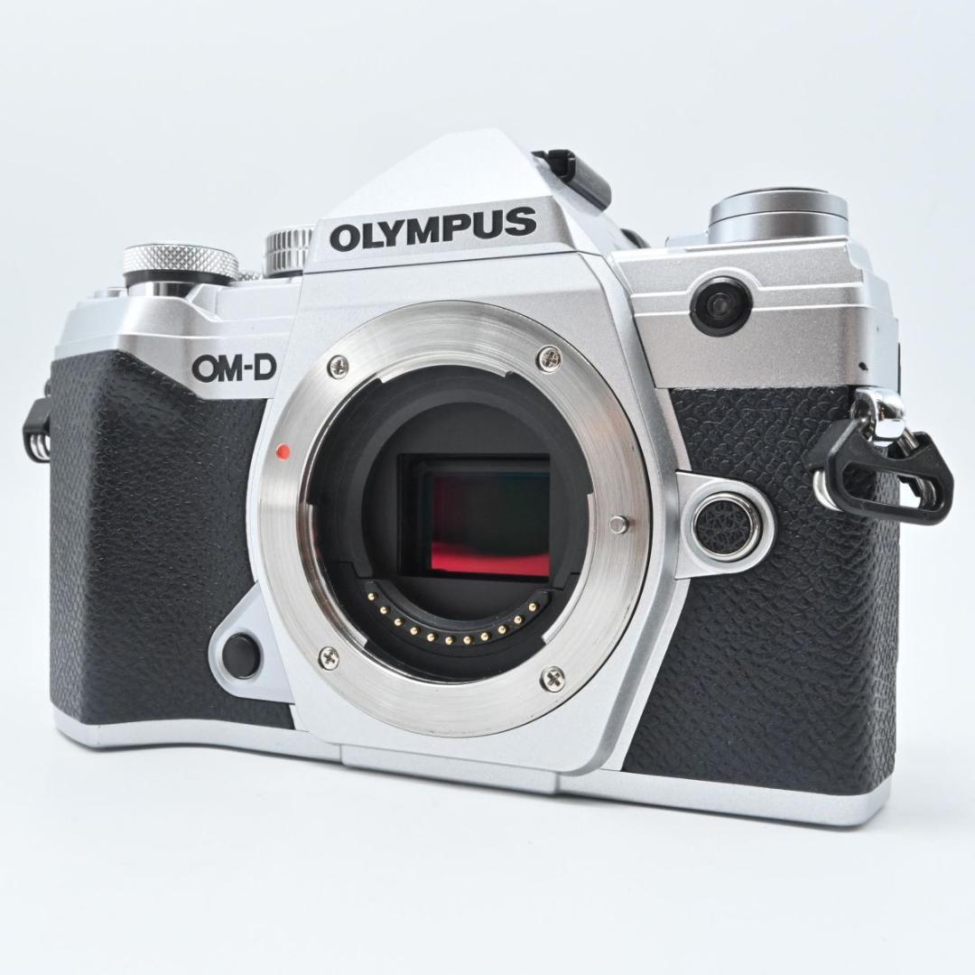 OLYMPUS OM-D E-M5 Mark III ボディ #1438