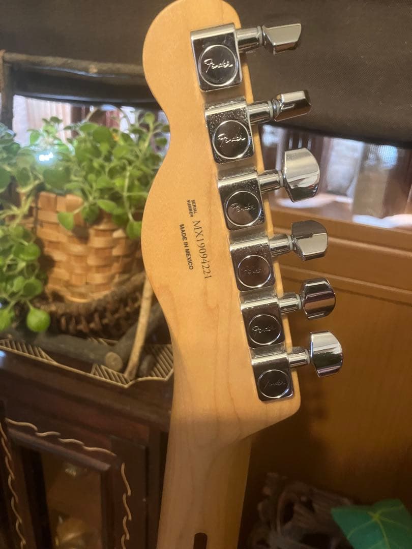 Fender Telecaster Player series ブルー