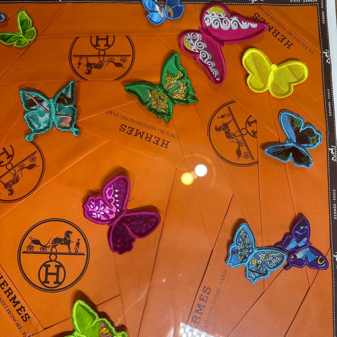 エルメス　ステファンウィルソン　アートパネル