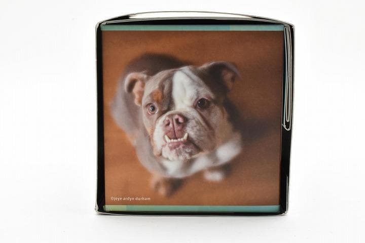 15237E ★新品★ レンズベビー 56mm F1.6 LENSBABY