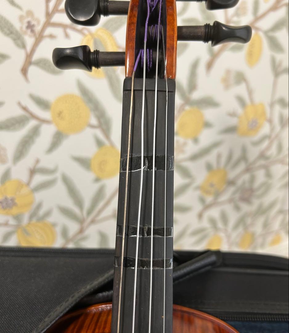 Carlo giordano カルロジョルダーノ VS-3 4/4 初心者セット