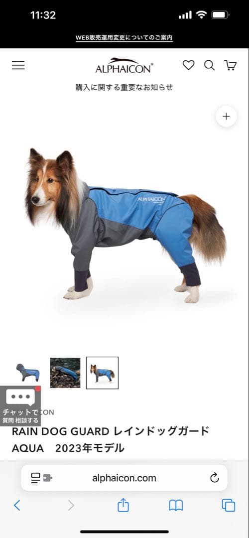 アルファアイコン　RAIN DOG GUARD AQUA 2023年モデル