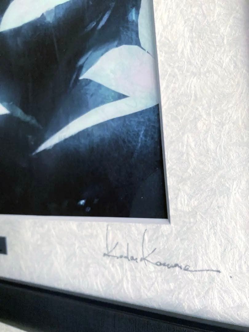 【限定品】複製原画「今ハ星モ無ク」NieR:Automata ニーアオートマタ