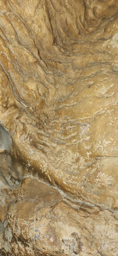 珪化木 木化石 パワーストーン オブジェ 置物 化石 大型 希少