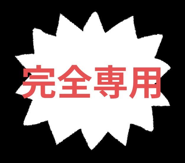 ☆完全専用☆です