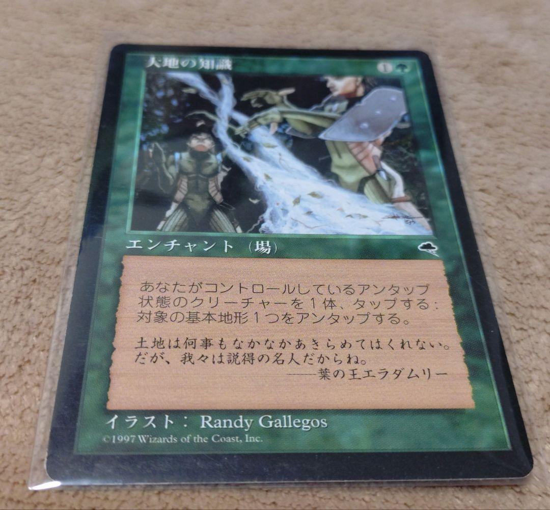 MTG【大地の知識】テンペスト　日本語