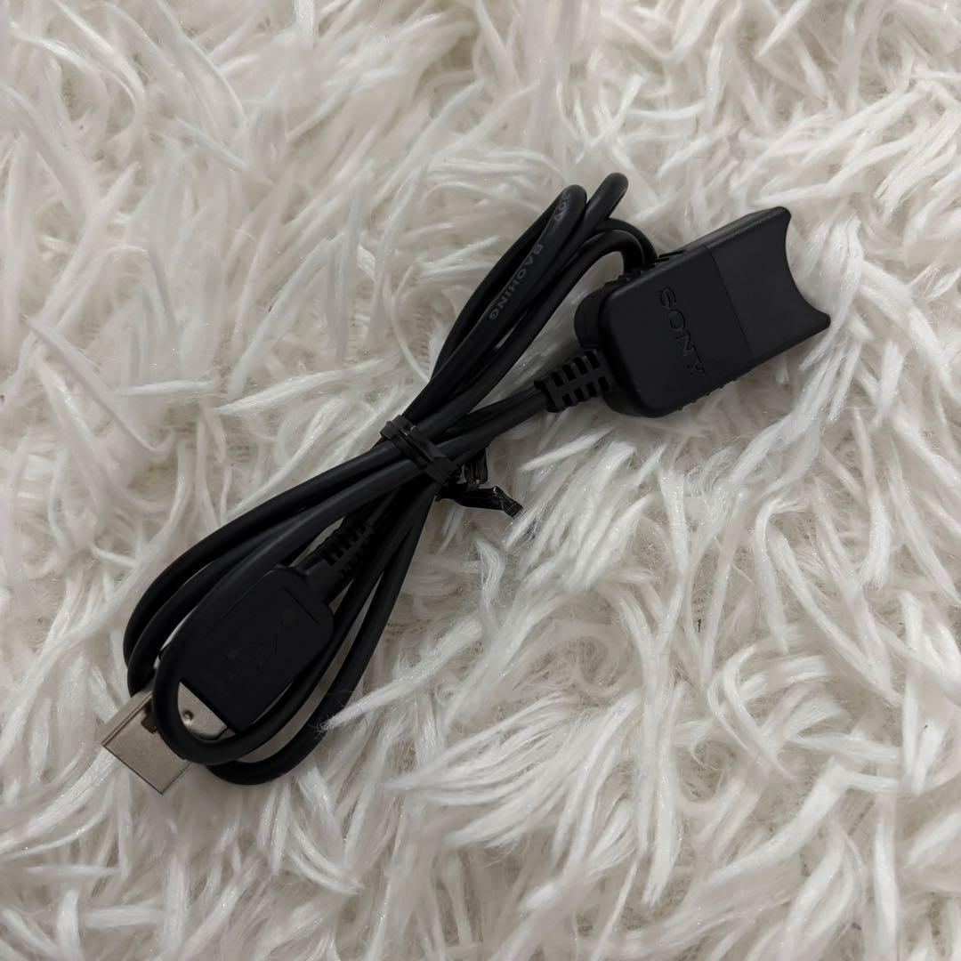 【動作確認済み・付属品有り】SONY HDR-PJ630V ハンディカム　黒