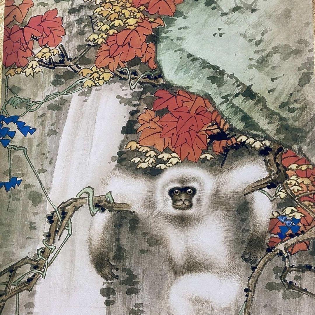 四尺中堂 中国花鳥画 田世光 紅葉白猿図 掛軸 証書付