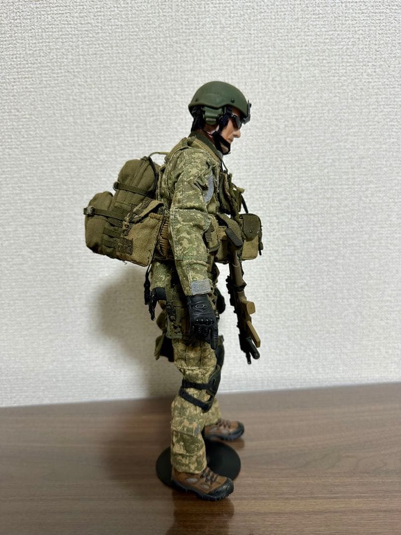 1/6 ミリタリー　カスタム　フィギュア　hottoys