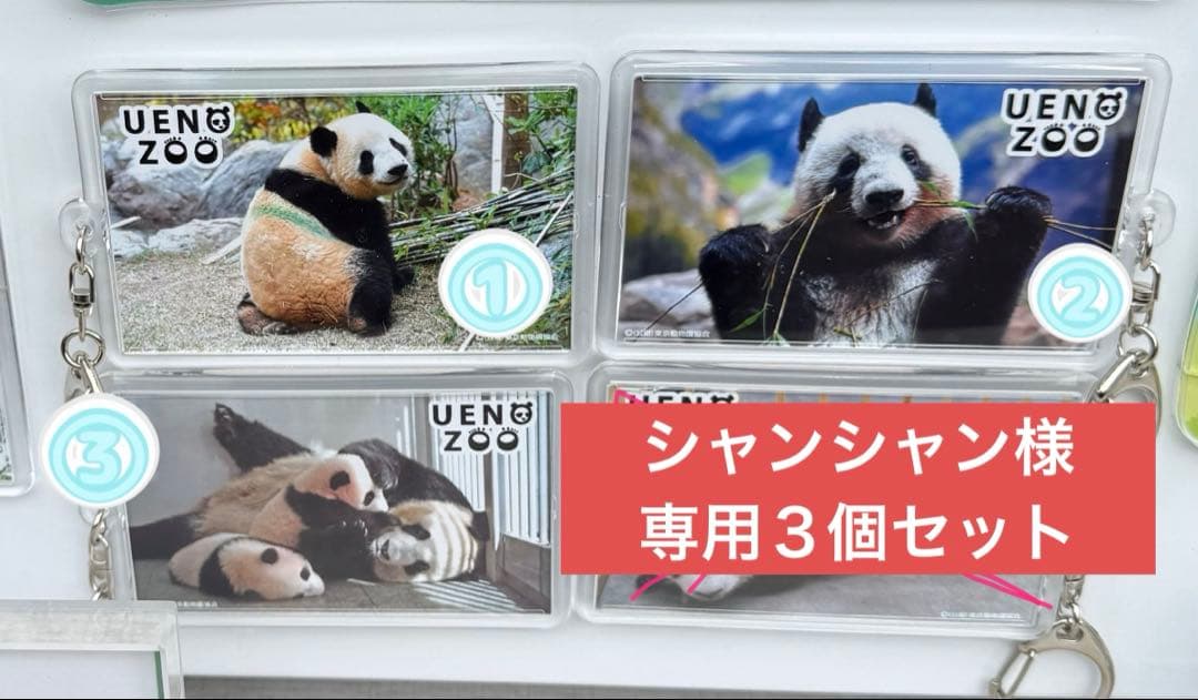 【シャンシャン】上野動物園　キーホルダー３個セット