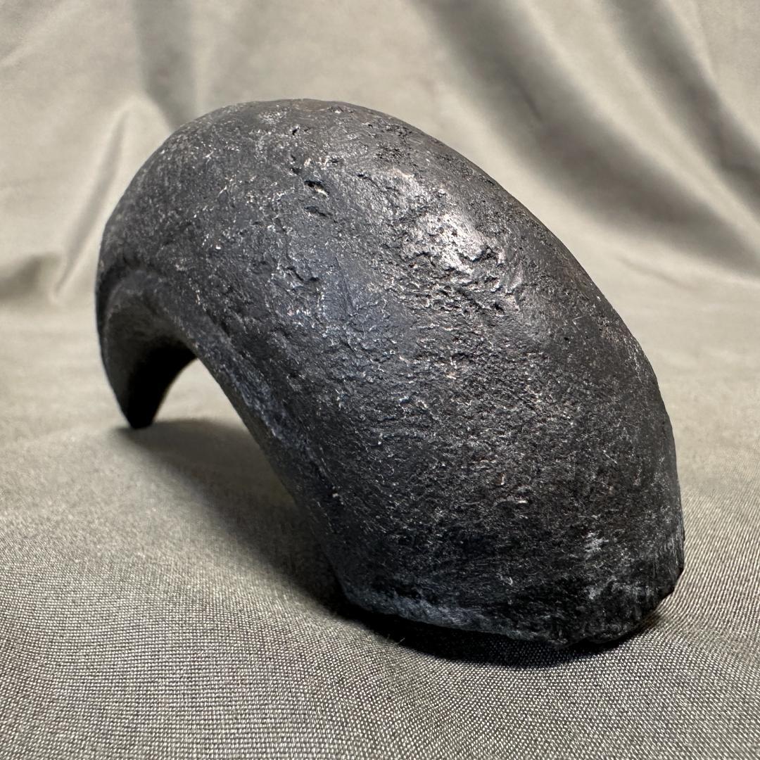 カルカロドントサウルス ハンドクロウ かぎ爪 化石 肉食恐竜 獣脚類 1516