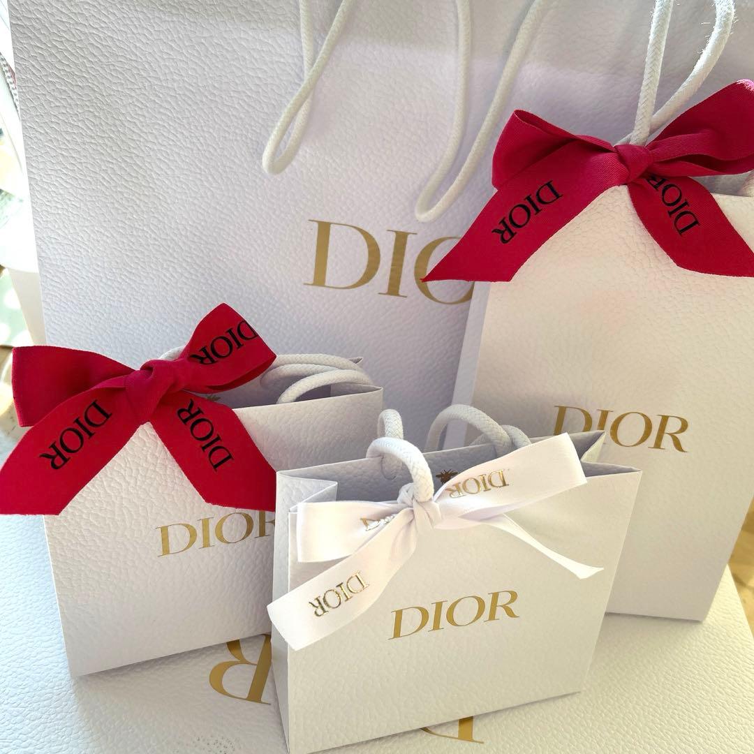 DIOR クリスチャンディオール　ショッパー　大　中　小　ミニBOX 4種