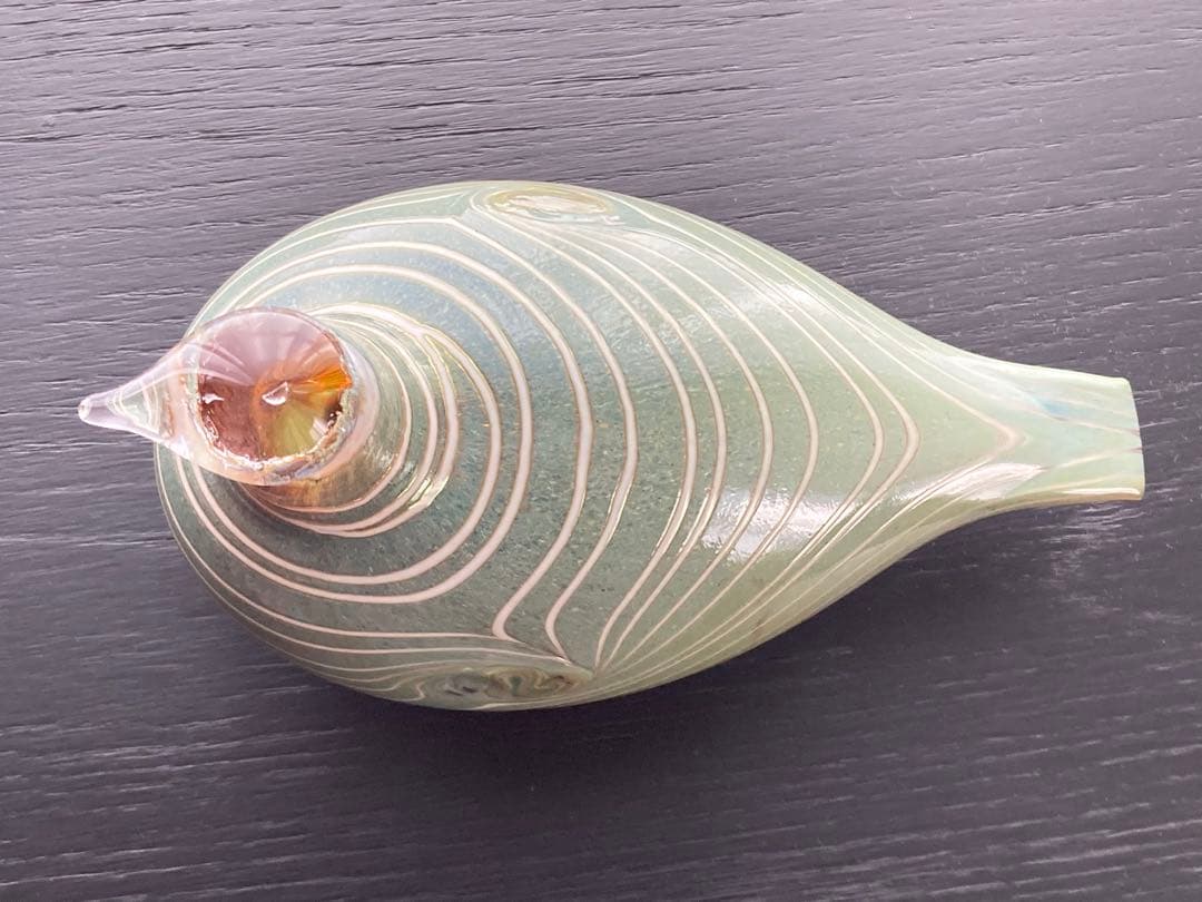 so16Nuutajärvi oiva Long-taled duck 緑