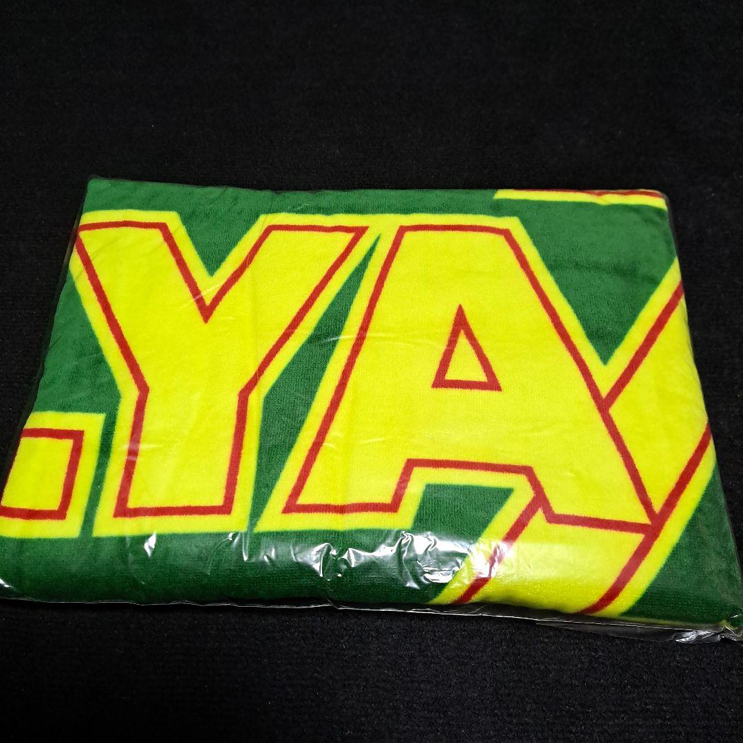 矢沢永吉 SBT ビーチタオル グリーン レッド イエロー