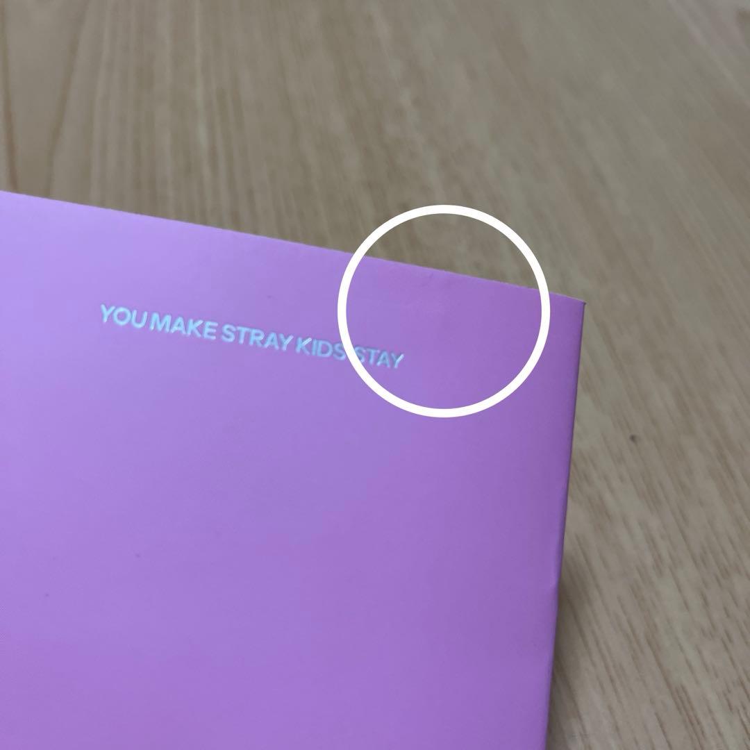 スキズ　SKZOO テディベアぬいぐるみ　トゥエッキ　チャンビン