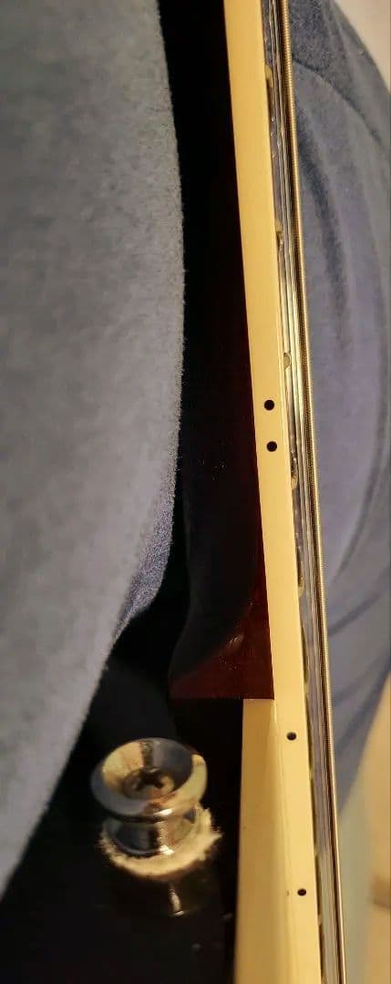 Taylor guiter T5　ハードケース付