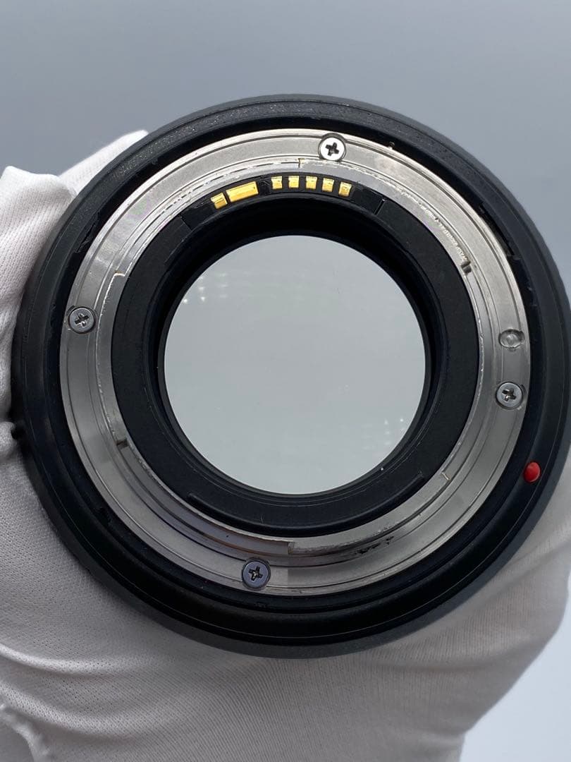 Canon キヤノン EF 85mm F1.4L IS USM