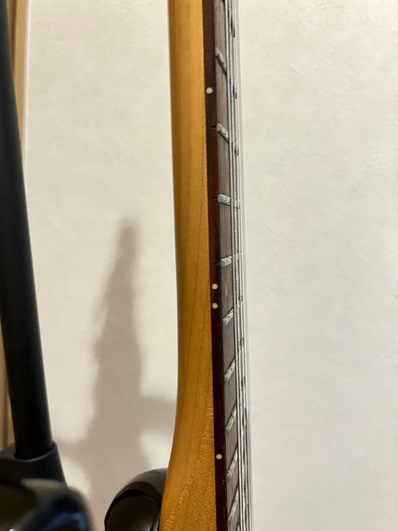 Aria Pro Ⅱ　MAGNA Series　アリアプロ　マグナ　シリーズ